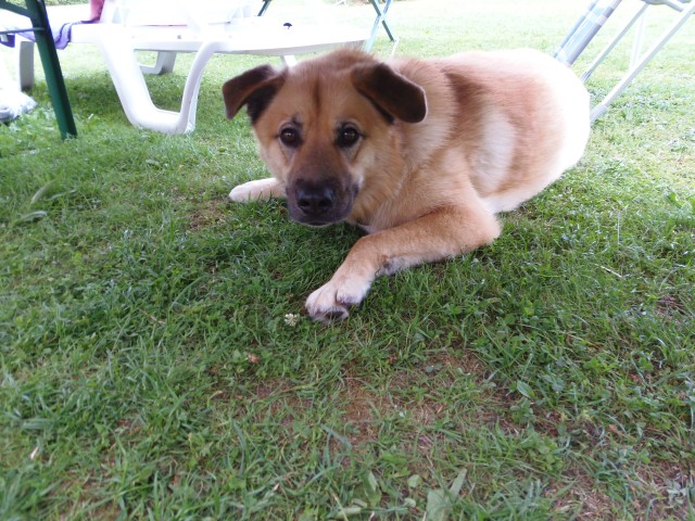 ../fotos/het_verlaat_2017/2017-07-15 14.02.06.jpg